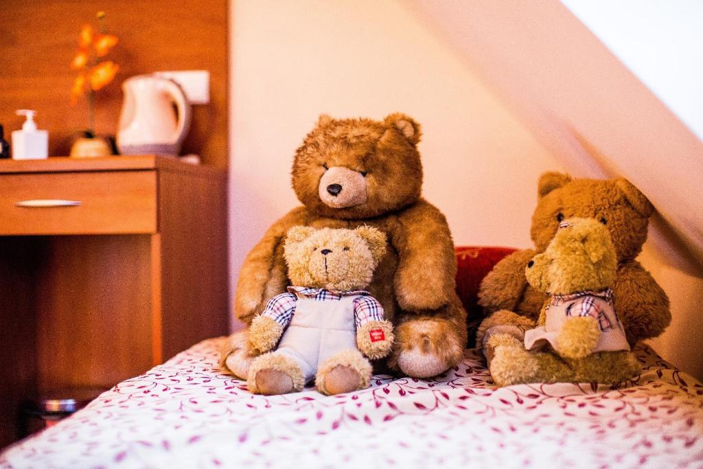 Hotel Concordia ポドグジン 部屋 写真